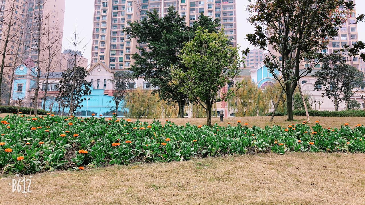Emei Mountain Xileer Hotel Емейшань Екстер'єр фото