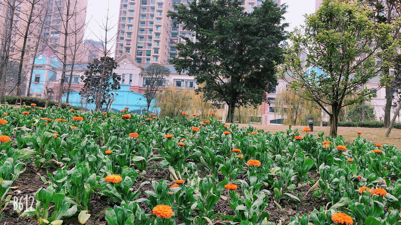 Emei Mountain Xileer Hotel Емейшань Екстер'єр фото